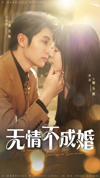 短剧《无情不成婚》 完整版高清短剧免费看，在线全集无束缚自由欣赏