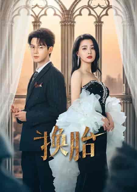 短剧《换胎》 全集免费在线，高清画质，大结局震撼揭晓