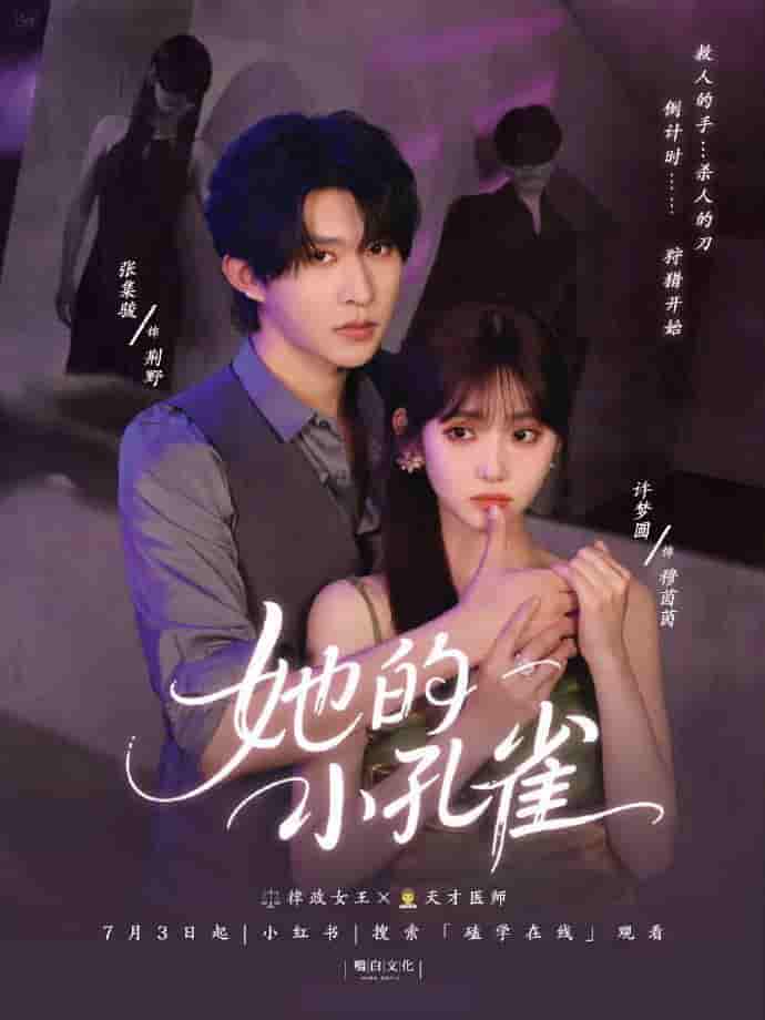 微短剧《她的小孔雀》 免费高清短剧全集，完整版在线无限制享  第1张