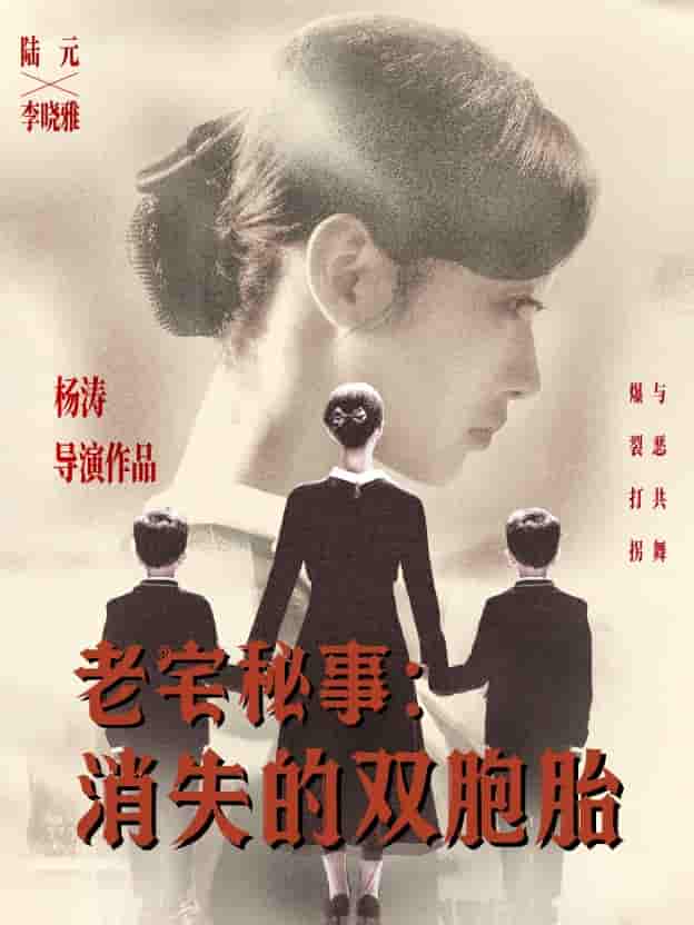 短剧《老宅秘事消失的双胞胎＆消失的孩子》 高清短剧全集免费，完整版在线观看无束缚  第1张