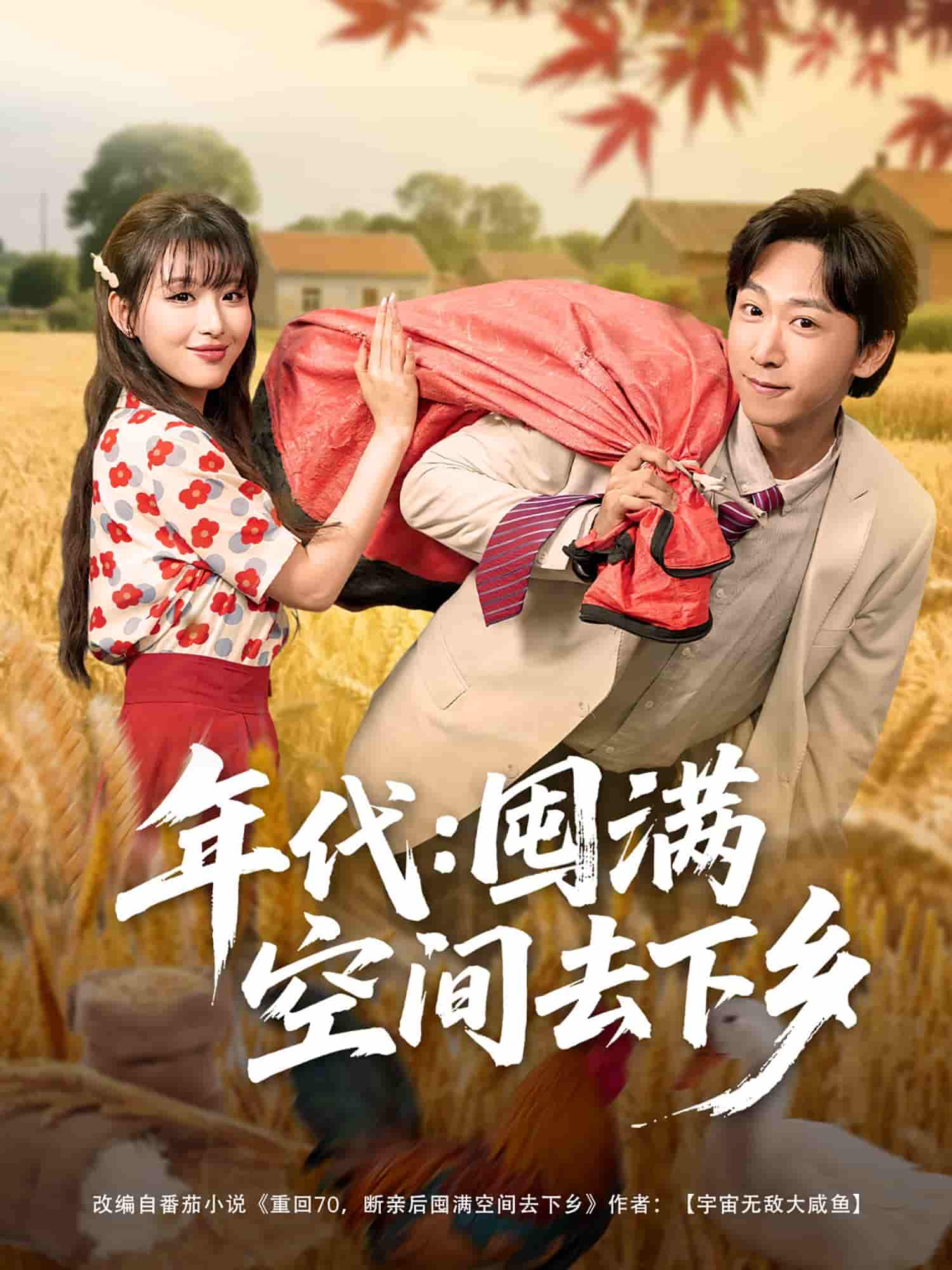 短剧《年代囤满空间去下乡》 免费看高清全集，大结局震撼揭晓  第1张