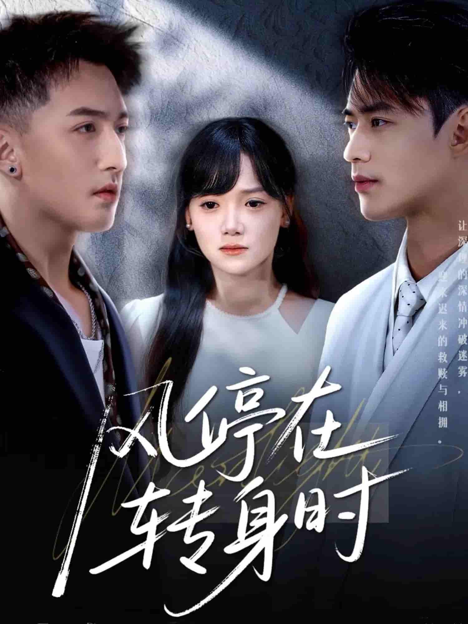 短剧《风停在转身时》 高清全集！免费在线观看，大结局已完结