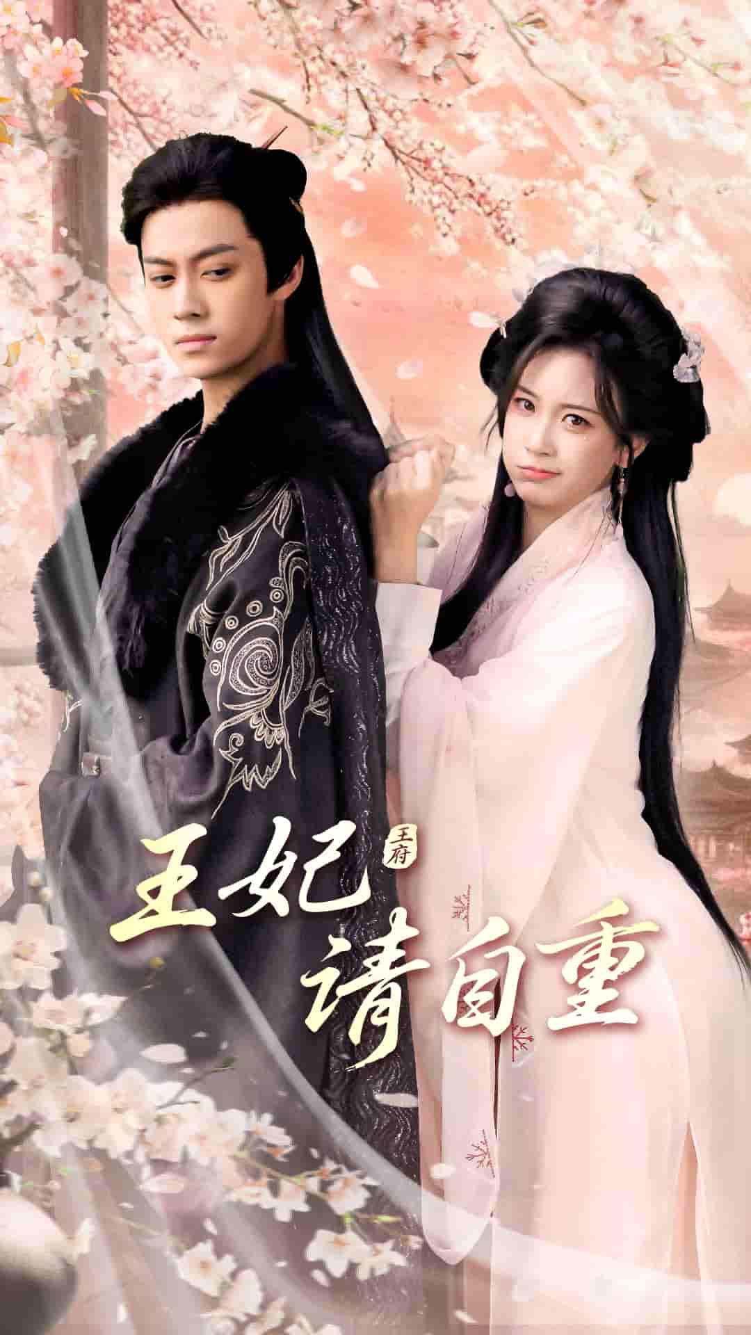 短剧《王妃请自重》 免费观看高清短剧全集，完整版在线无束缚随心享  第1张