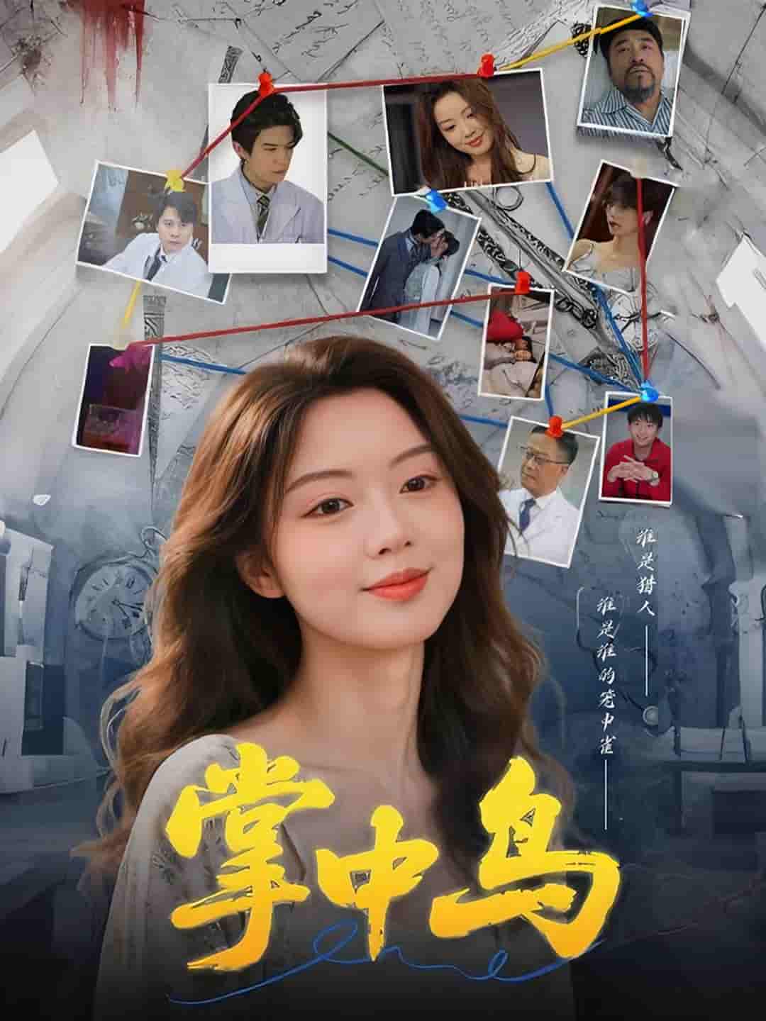 短剧《掌中鸟》 免费观看高清全集，大结局震撼来袭  第1张