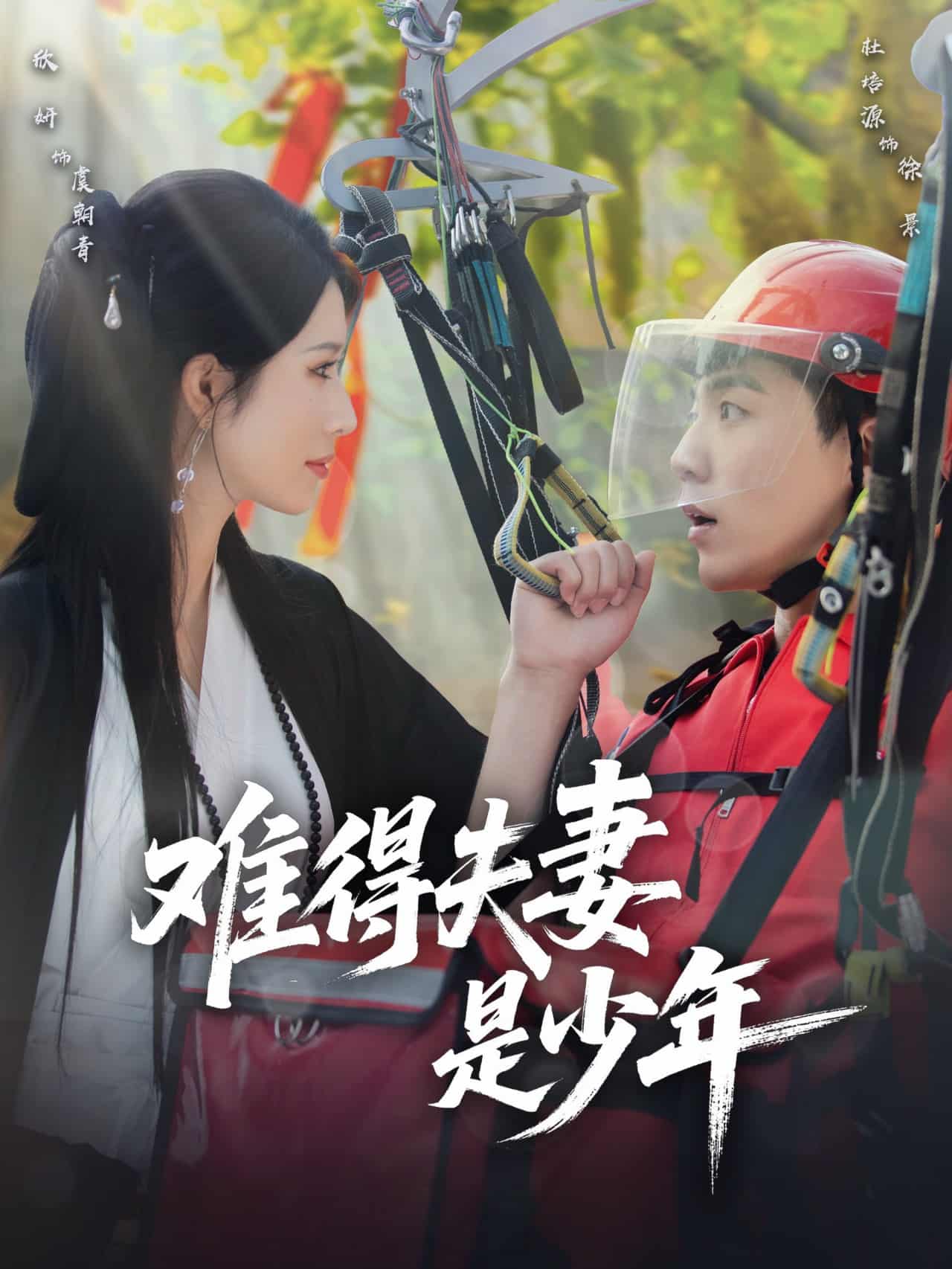 短剧《难得夫妻是少年》 免费观看高清全集，大结局已完结  第1张