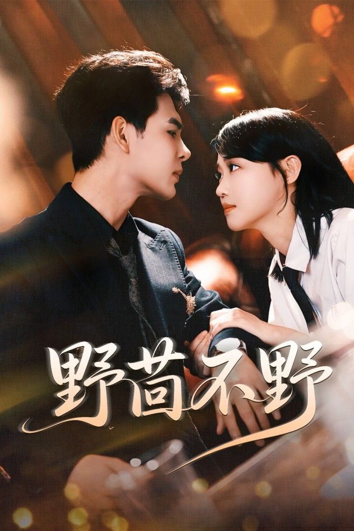 短剧野茴不野高清完整全集无删减版，在线免费观看。