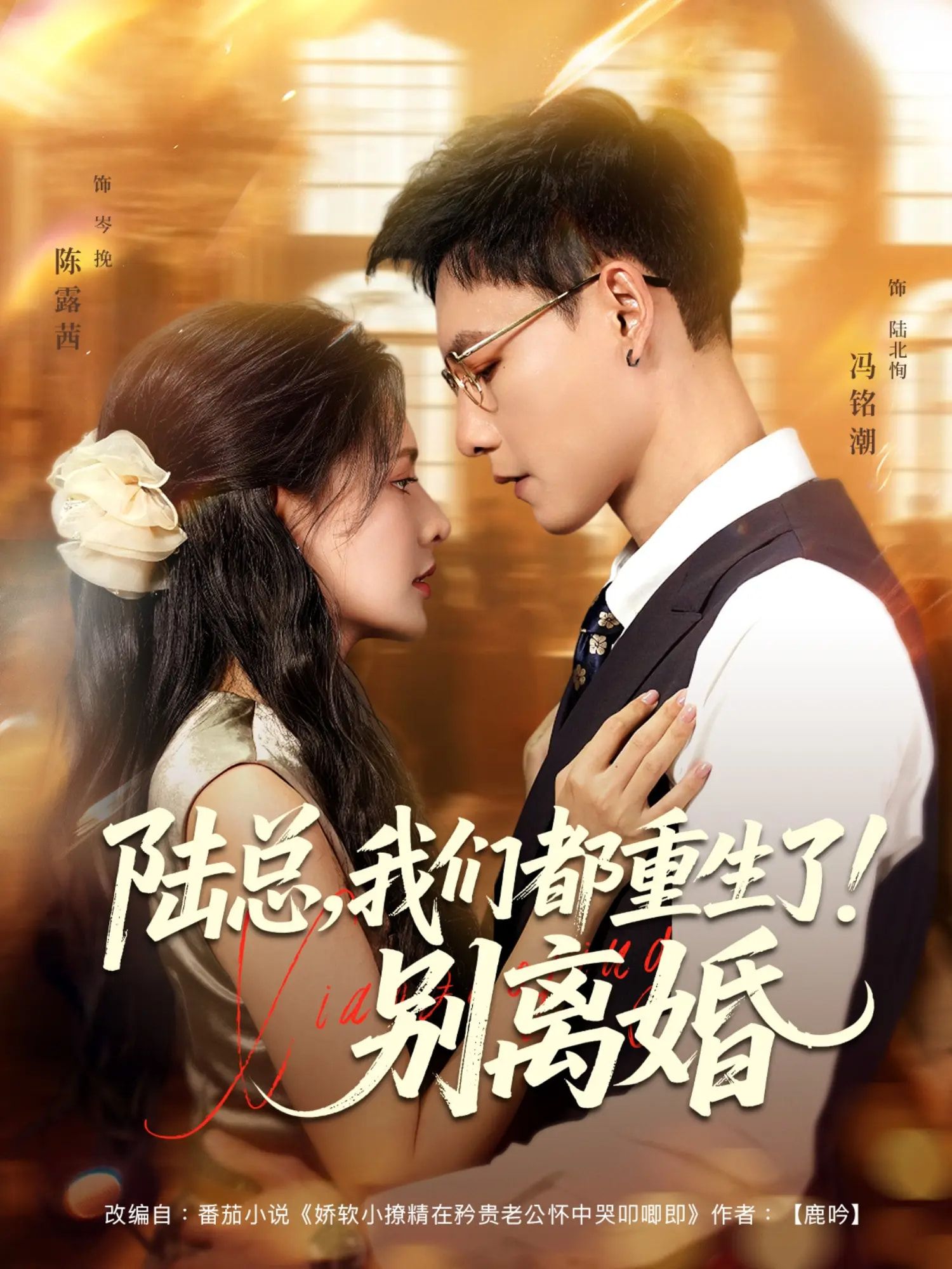 短剧陆总我们都重生了别离婚，重生她追夫火葬场，他反手锁爱，这次别想离婚！超高清全集完整版看哭全网。  第1张