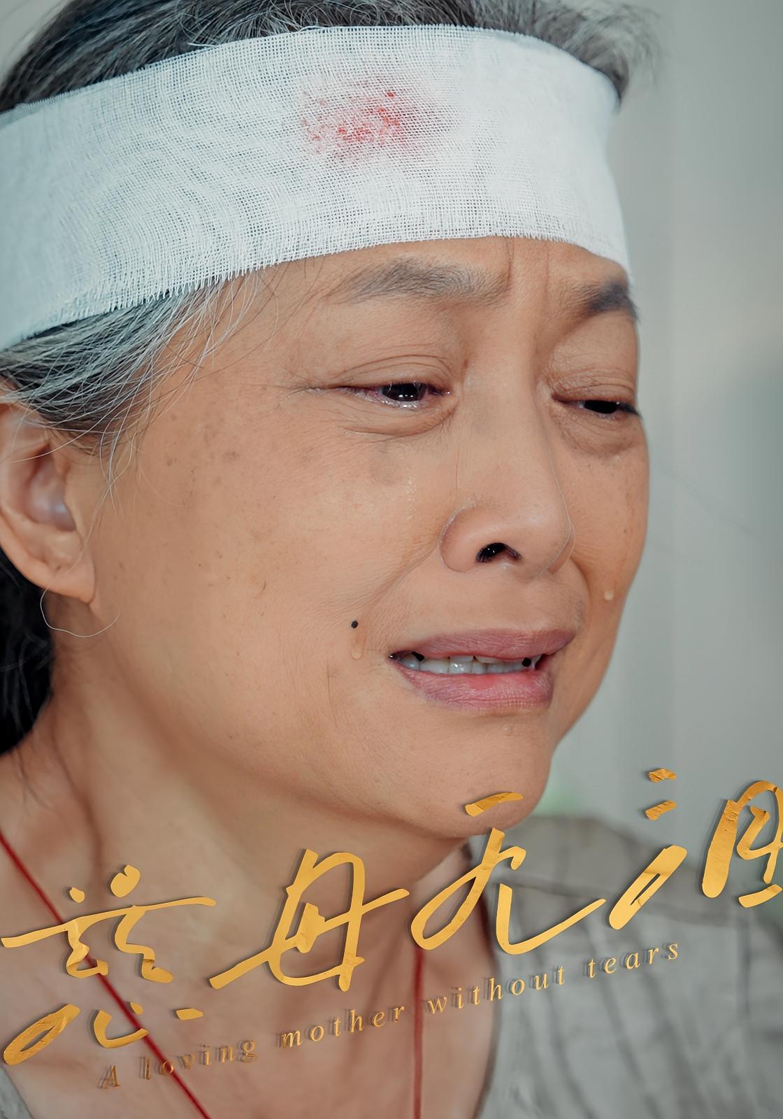 短剧《慈母无泪》 全集免费在线，高清画质，大结局震撼揭晓