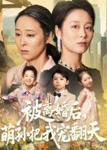 短剧 《被离婚后萌孙把我宠翻天》 高清全集完整版在线看无广告  第1张