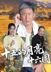短剧十五的月亮十六圆高清全集完整版在线播放，暖心故事随时看，不错过每一帧精彩！  第1张
