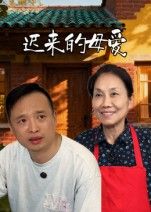 短剧迟来的母爱在线播放高清全集无删减版HD  第1张