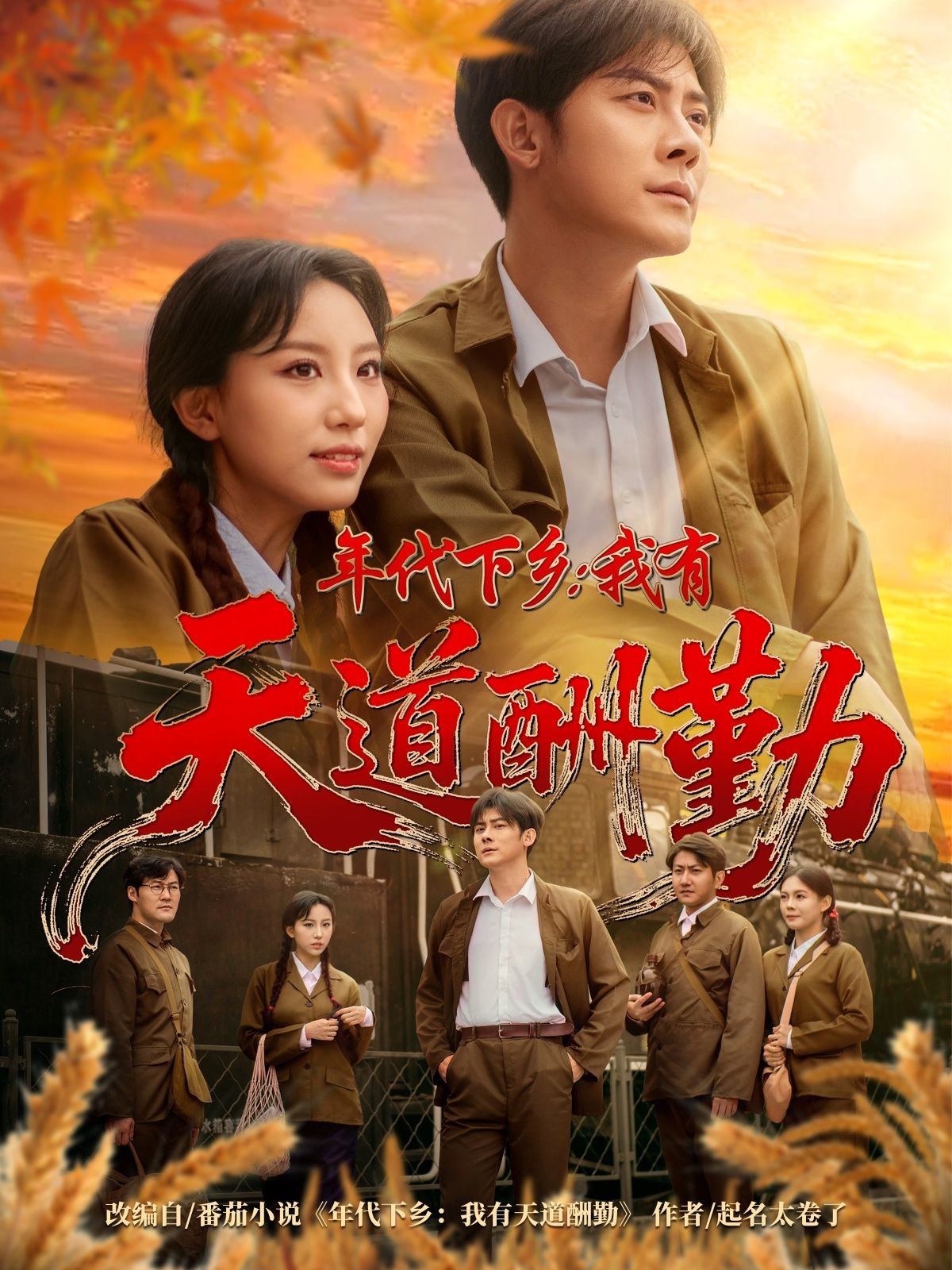 年代下乡我有天道酬勤在线看，超高清全集完整版HD，年代奋斗故事，天道酬勤，精彩不断。  第1张