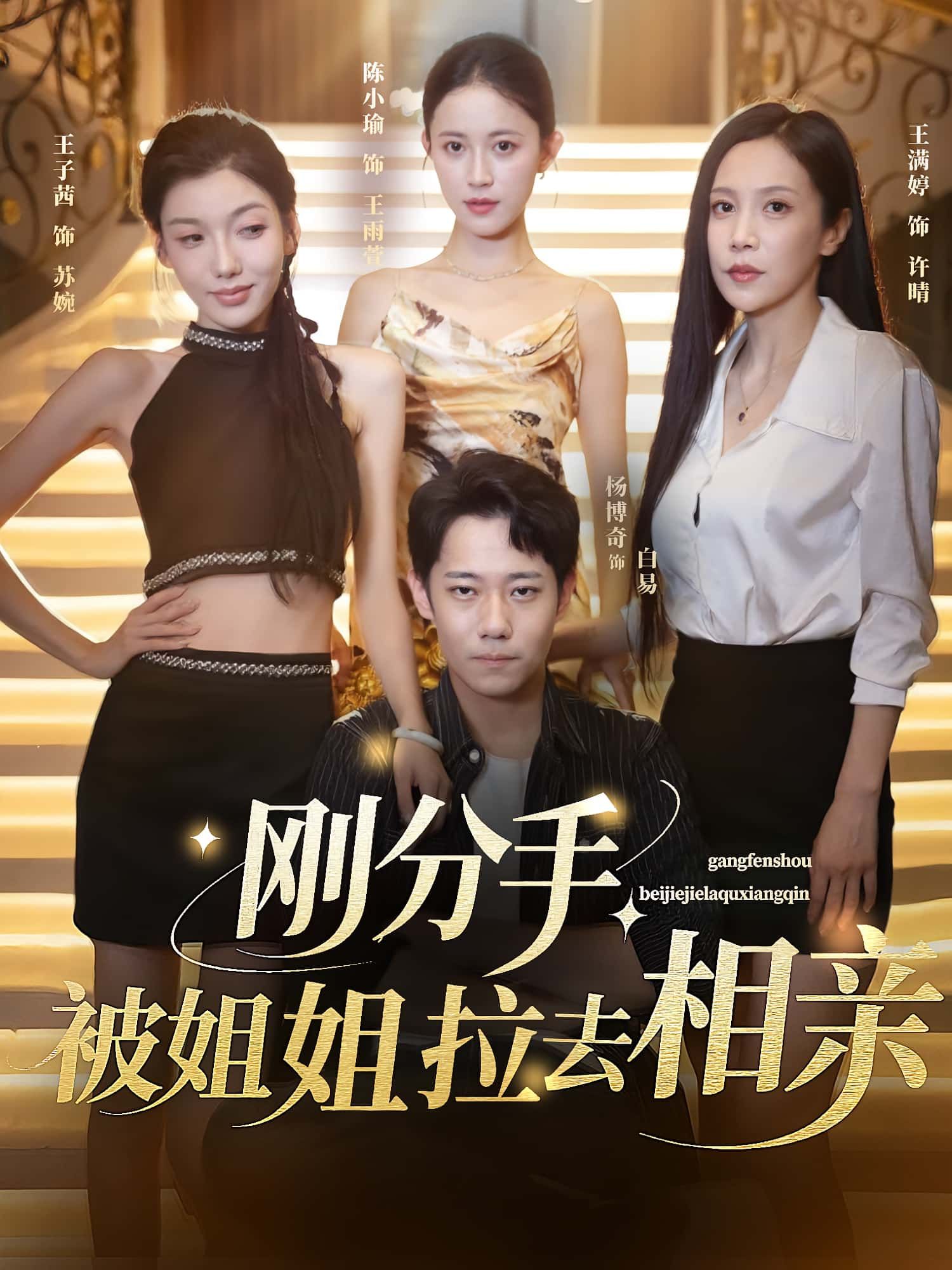 短剧刚分手被姐姐拉去相亲，刚分手即被姐姐绑架相亲，哭笑相亲局竟遇心动，意外开启甜蜜情缘！