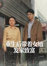 重生后，她携女婿逆袭发家，超高清完整全集免费在线看，共闯致富路！