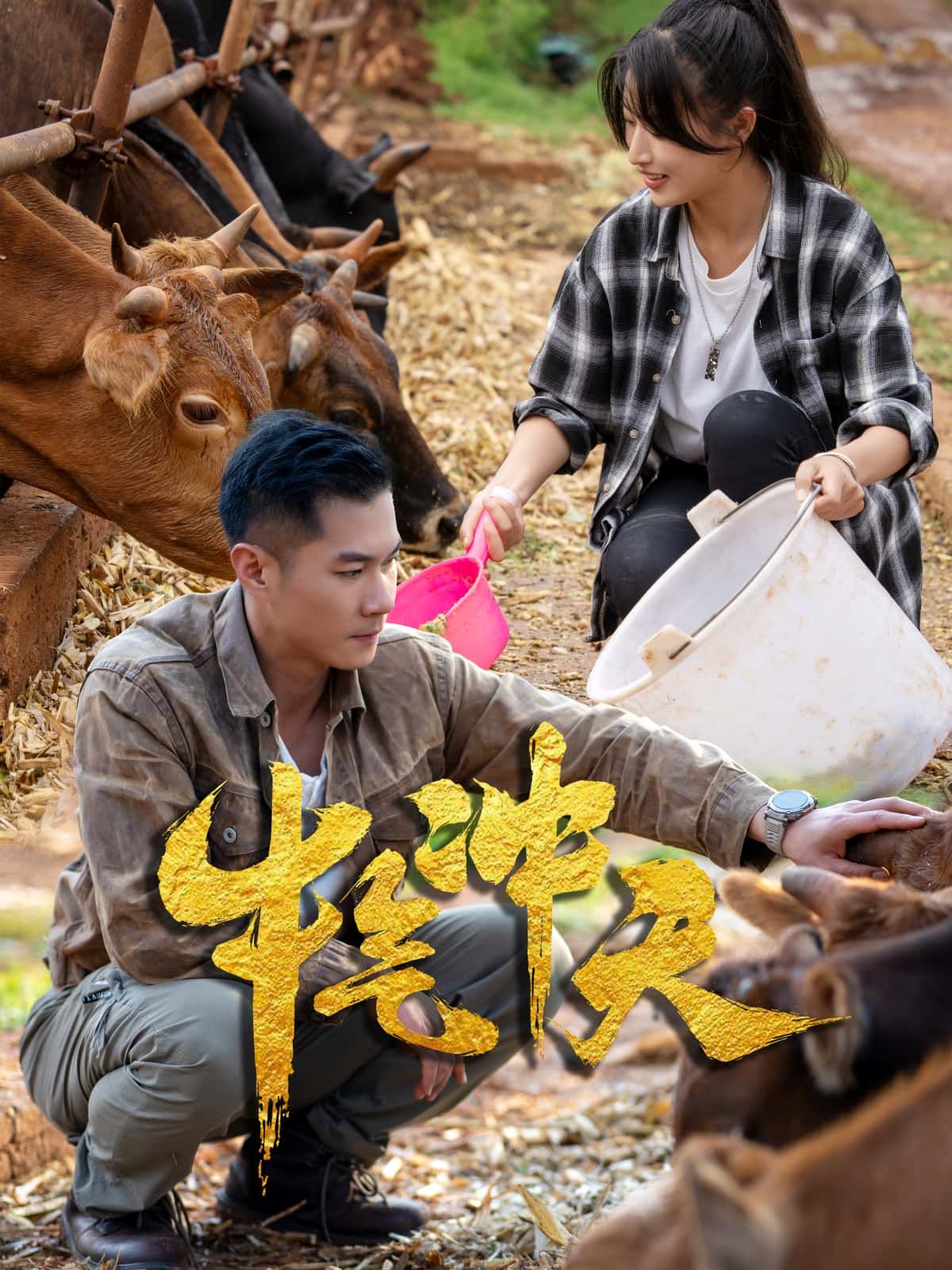 短剧牛气冲天高清全集完整版，免费在线看，无删减畅享，快来追更！  第1张