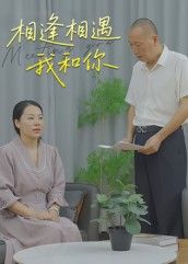 短剧相逢相遇我和你1080P高清完整全集，在线观看，邂逅暖心故事。  第1张