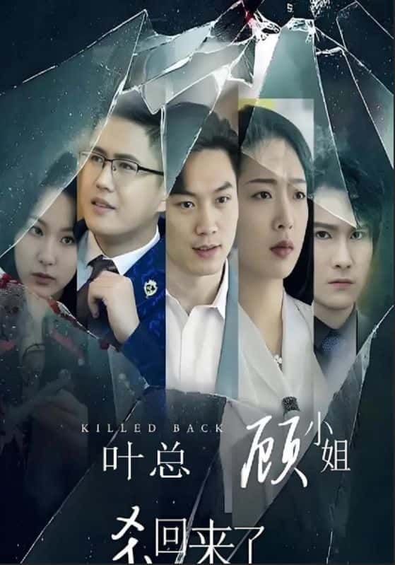 短剧叶总顾小姐杀回来了强势回归！高清无删减全集，在线观看完整版，爽不停～