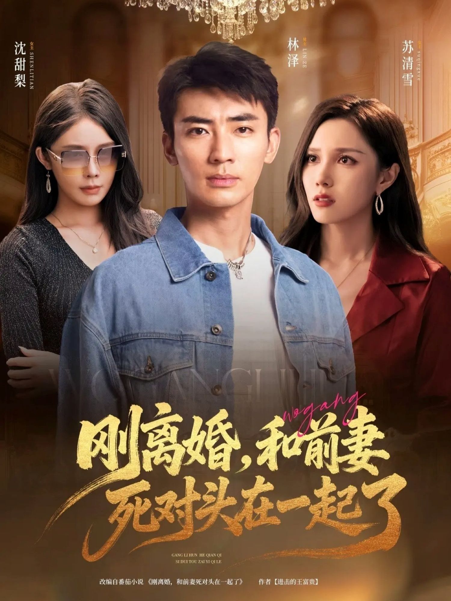短剧刚离婚和前妻死对头在一起在线观看，1080P高清完整全集。