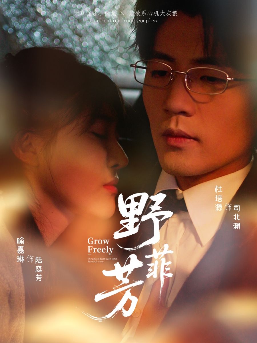 短剧野芳菲HD高清无删减全集，在线观看1080P完整版。  第1张