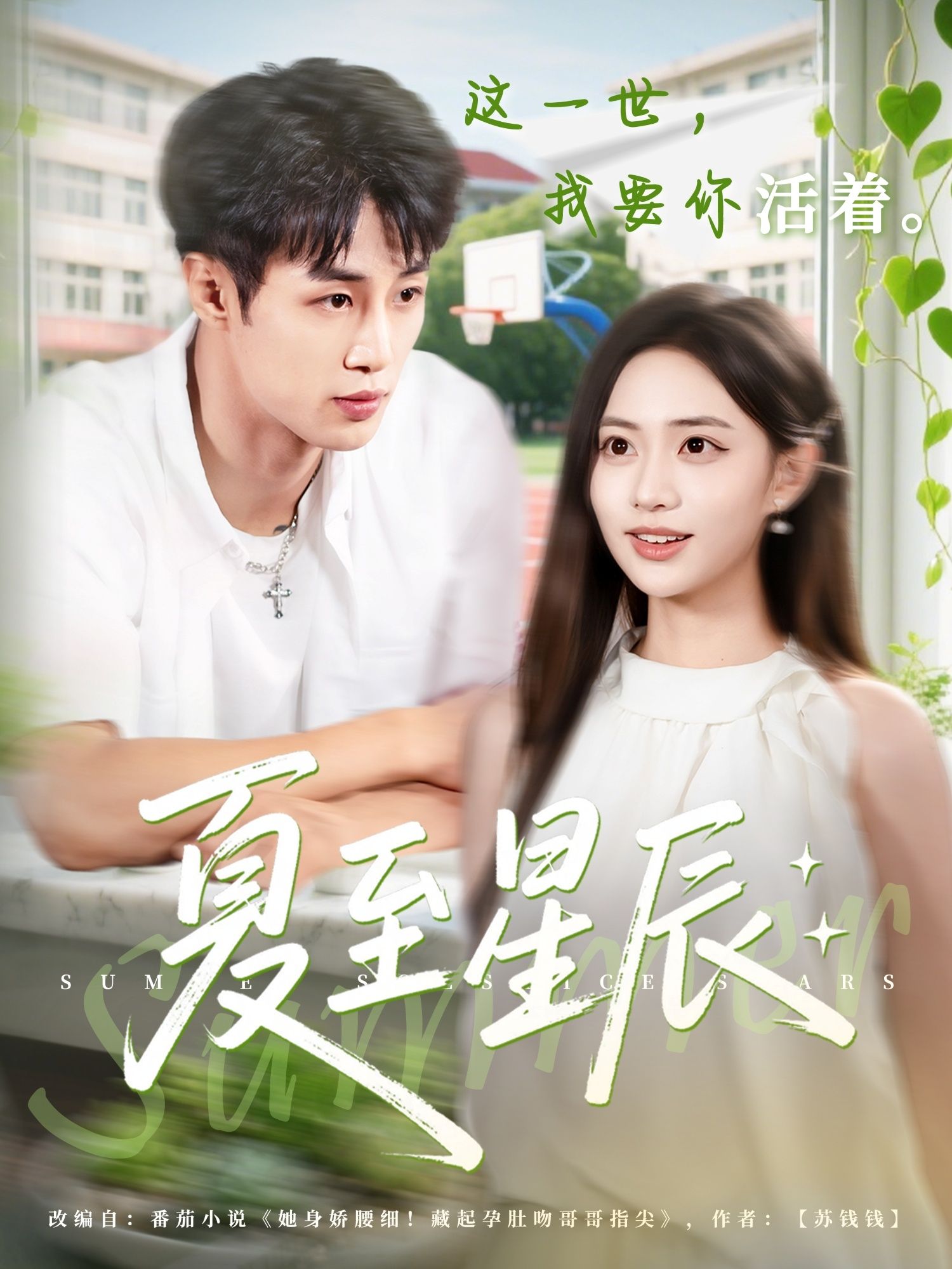 短剧 《夏至星辰》 高清无删减全集完整版在线观看