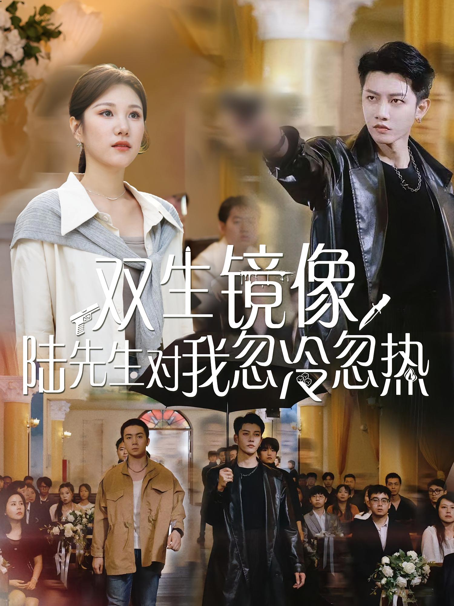 短剧《双生镜像陆先生对我忽冷忽热》 全集免费在线，高清画质，大结局震撼揭晓  第1张